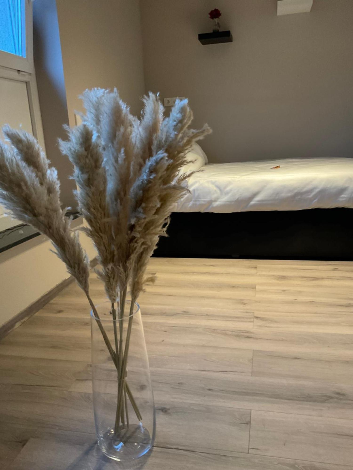 Modernes Studio Am Dreilaendereck Alsdorf Exteriér fotografie